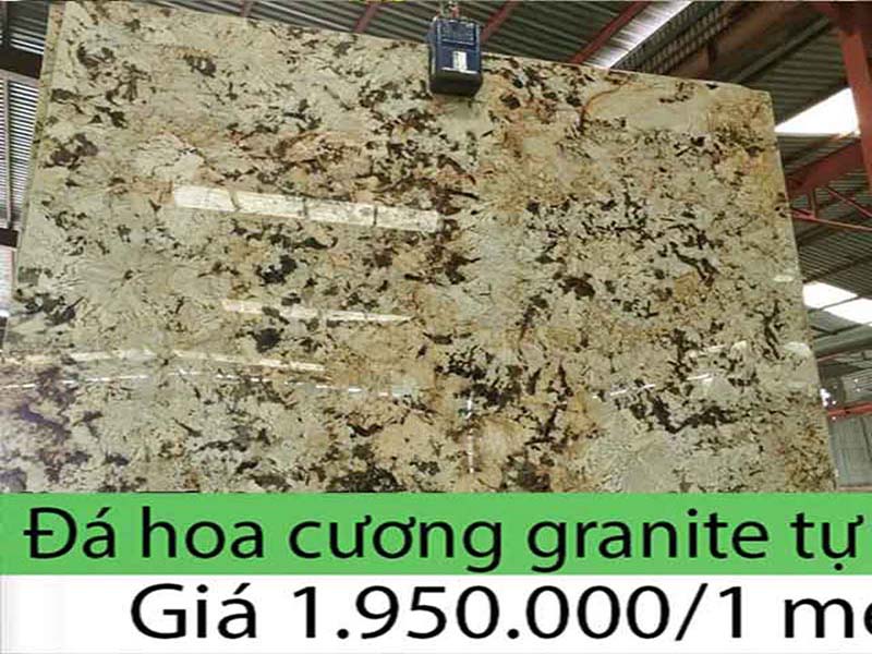 đá hoa cương 100